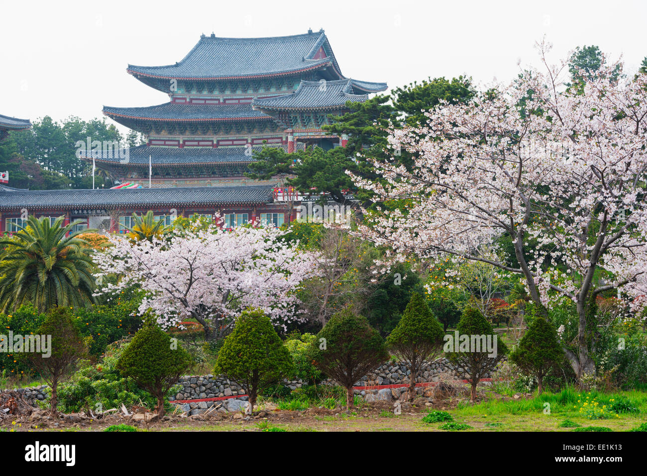 Yakcheonsa tempio buddista, Seogwipo City, Jeju Island, Corea del Sud, Asia Foto Stock