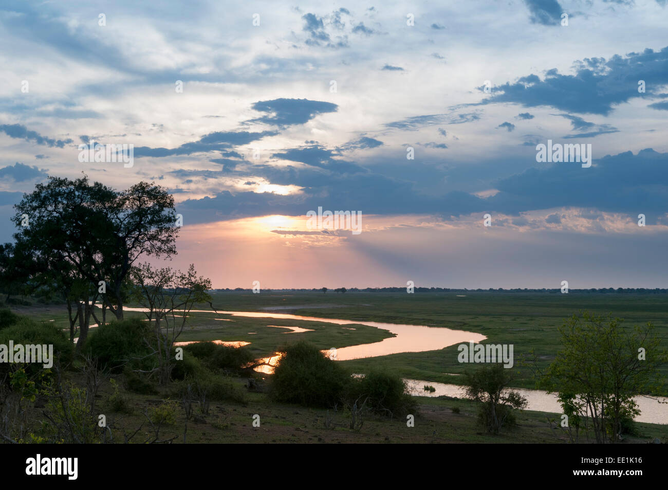 Chobe National Park, Botswana, Africa Foto Stock