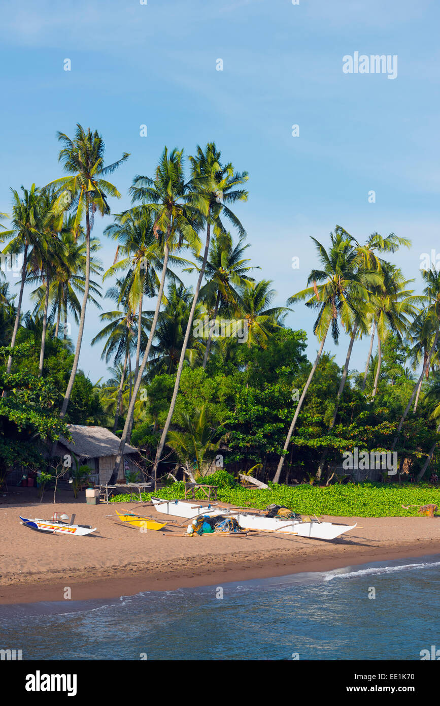 Apo Island, Cebu, Visayas, Filippine, Sud-est asiatico, in Asia Foto Stock