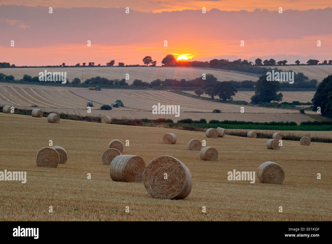 Round balle di fieno al momento del raccolto con il tramonto Swinbrook, Cotswolds, Oxfordshire, England, Regno Unito, Europa Foto Stock