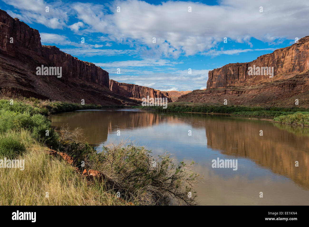 Il fiume Colorado e il Parco Nazionale di Canyonlands, Utah, Stati Uniti d'America, America del Nord Foto Stock