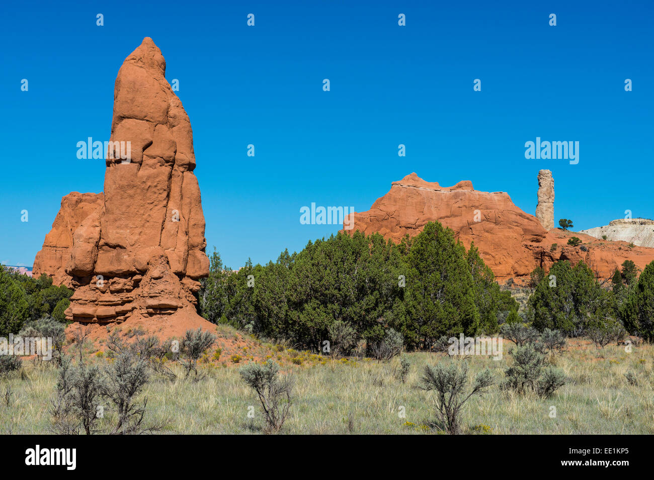 Camini in Pietra arenaria in Kodachrome Basin Parco Statale, Utah, Stati Uniti d'America, America del Nord Foto Stock