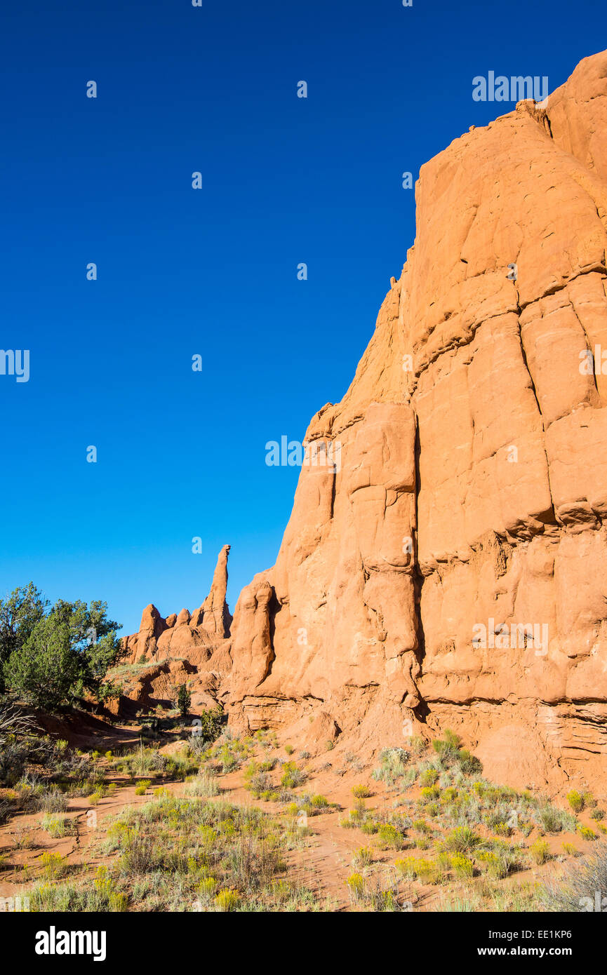 Redrock formazioni arenarie in Kodachrome Basin Parco Statale, Utah, Stati Uniti d'America, America del Nord Foto Stock