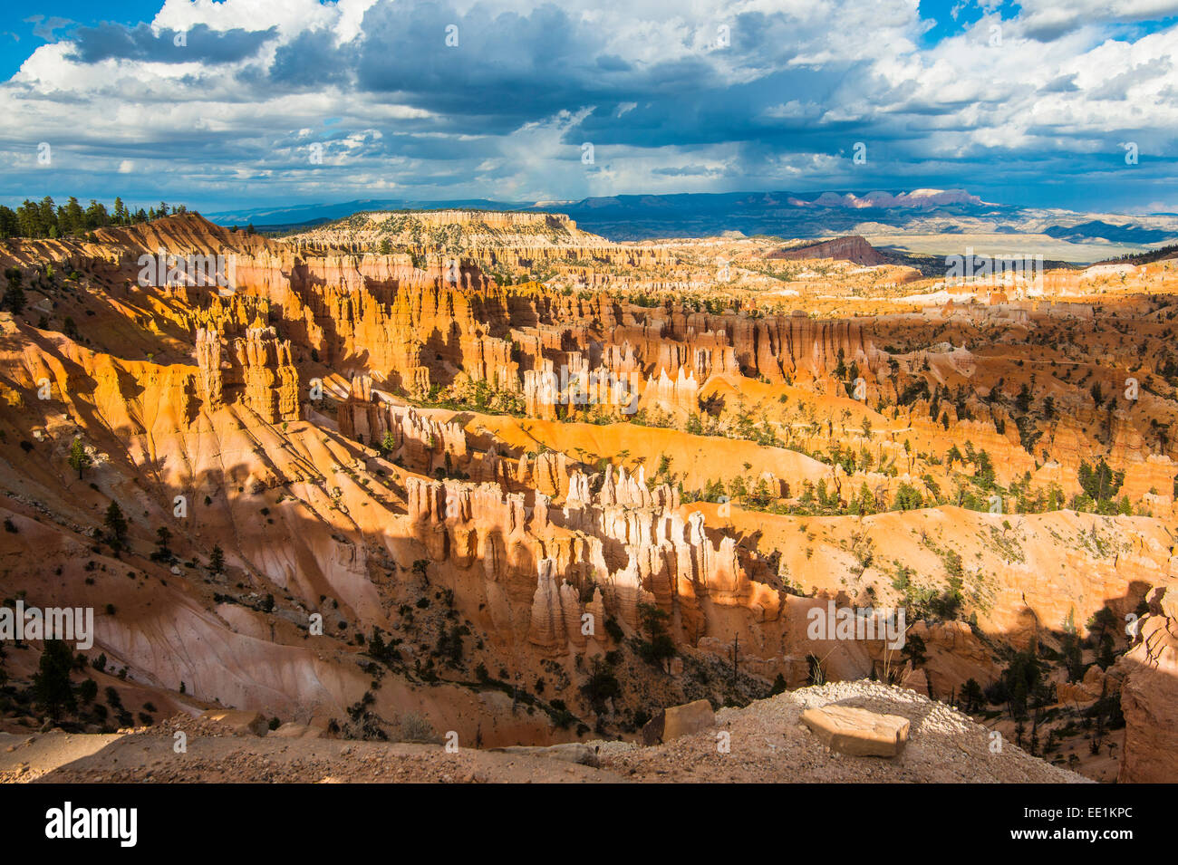 Le colorate formazioni arenarie del Parco Nazionale di Bryce Canyon nel tardo pomeriggio, Utah, Stati Uniti d'America Foto Stock