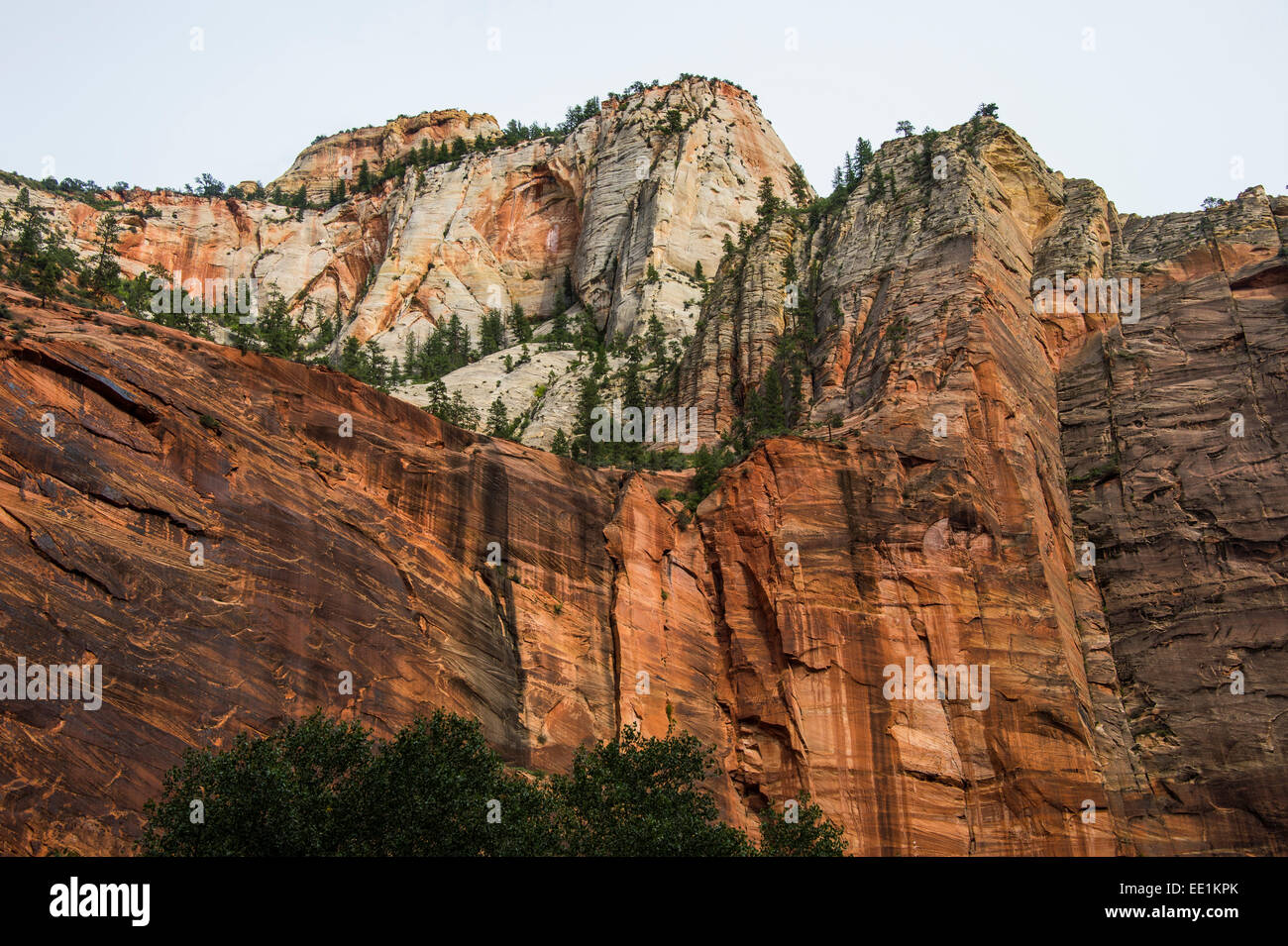 Le torreggianti scogliere del Parco Nazionale di Zion, Utah, Stati Uniti d'America, America del Nord Foto Stock