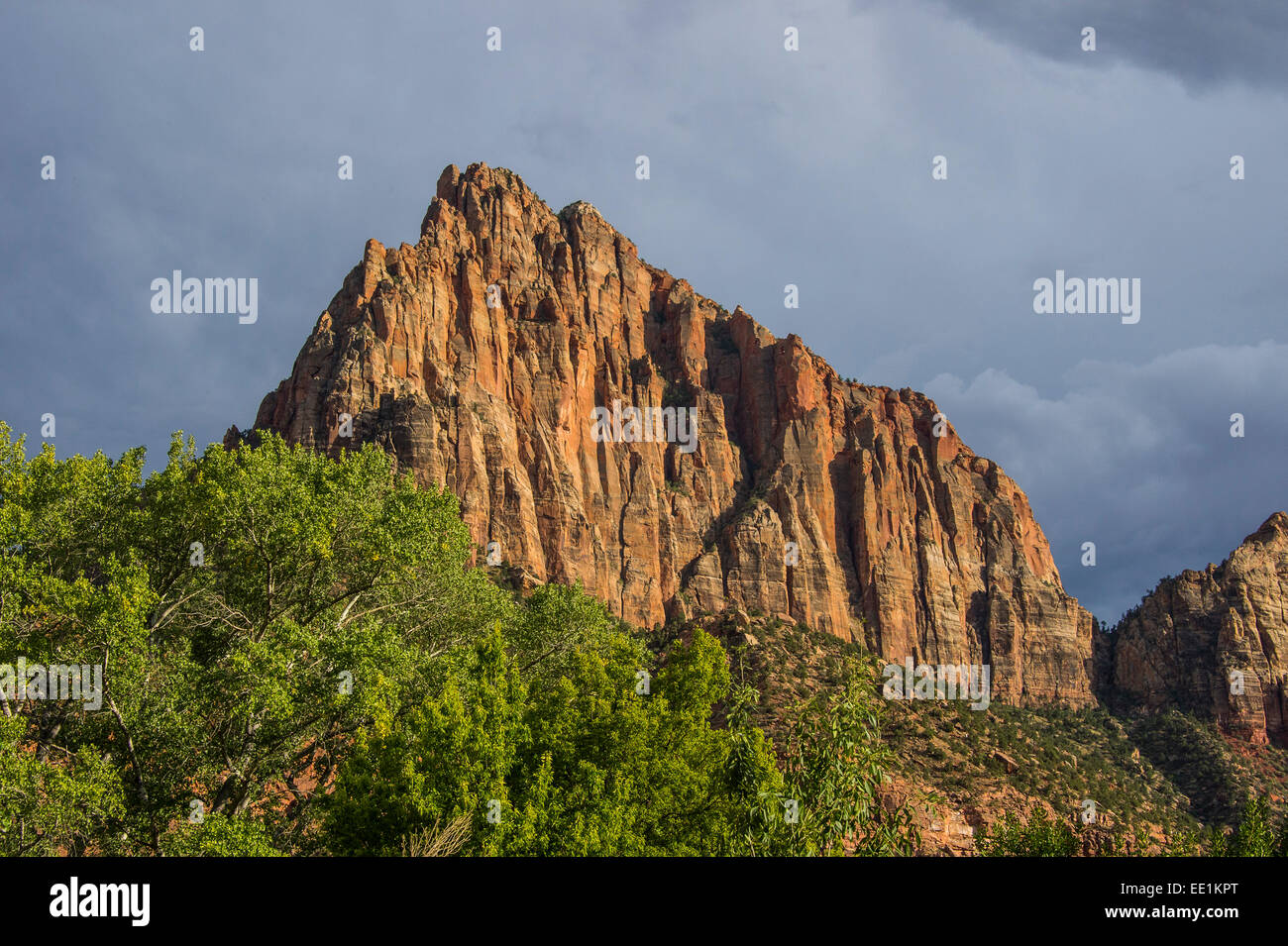 In ritardo la luce del sole incandescente sulle rocce del Parco Nazionale di Zion, Utah, Stati Uniti d'America, America del Nord Foto Stock