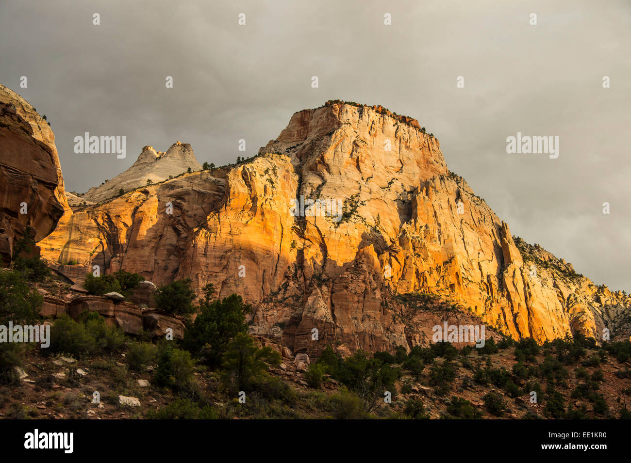 La mattina presto la luce del sole che splende su imponenti scogliere del Parco Nazionale di Zion, Utah, Stati Uniti d'America, America del Nord Foto Stock