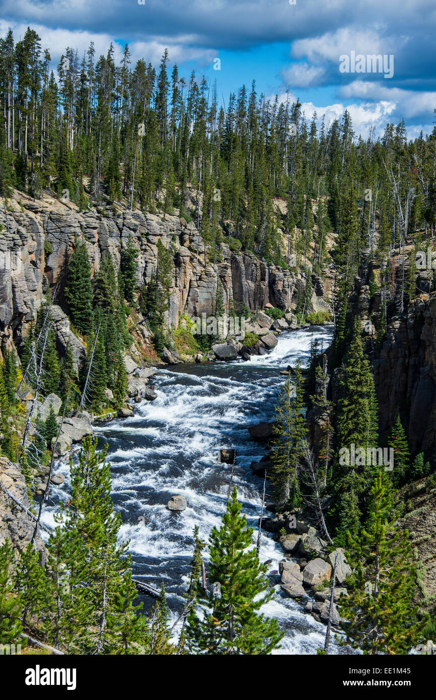 Vista sul Fiume di Lewis, il Parco Nazionale di Yellowstone, Sito Patrimonio Mondiale dell'UNESCO, Wyoming, Stati Uniti d'America Foto Stock