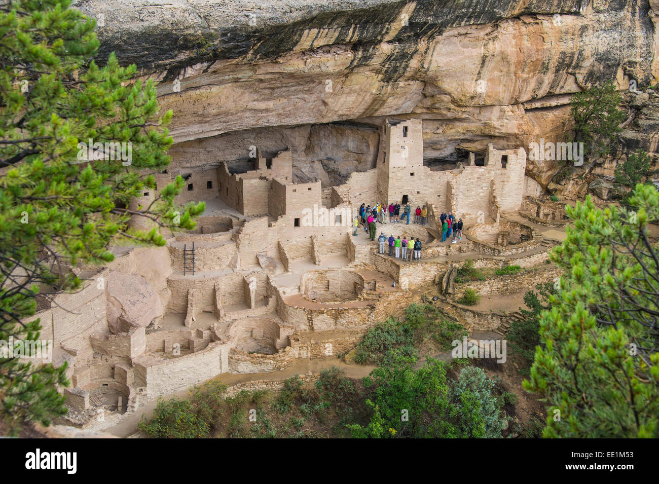Il Cliff Palace Indian abitazione, Mesa Verde National Park, sito Patrimonio Mondiale dell'UNESCO, Colorado, Stati Uniti d'America Foto Stock