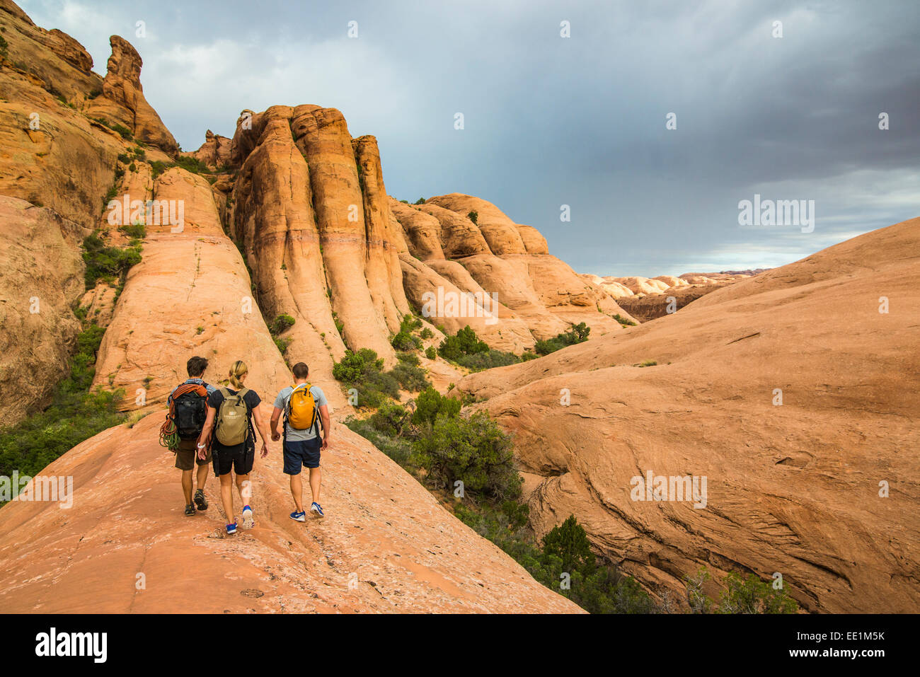 Trekking a piedi lungo il sentiero Slickrock vicino, Moab, Utah, Stati Uniti d'America, America del Nord Foto Stock