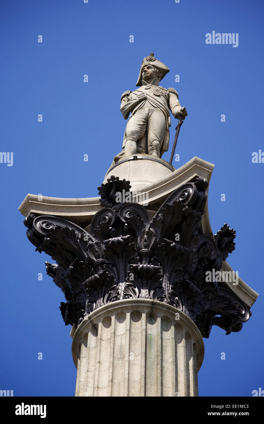 Nelson la colonna in Trafalgar Square a Londra, Inghilterra, Regno Unito, Europa Foto Stock