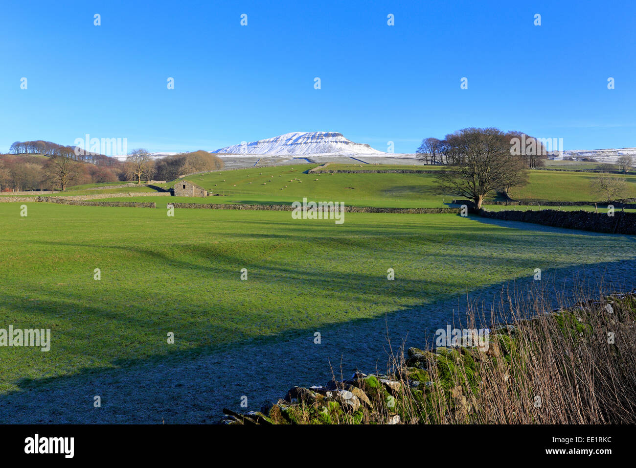 Neve su Pen-y-Ghent, Pennine Way, Horton in Ribblesdale, Yorkshire Dales National Park, North Yorkshire, Inghilterra, Regno Unito. Foto Stock