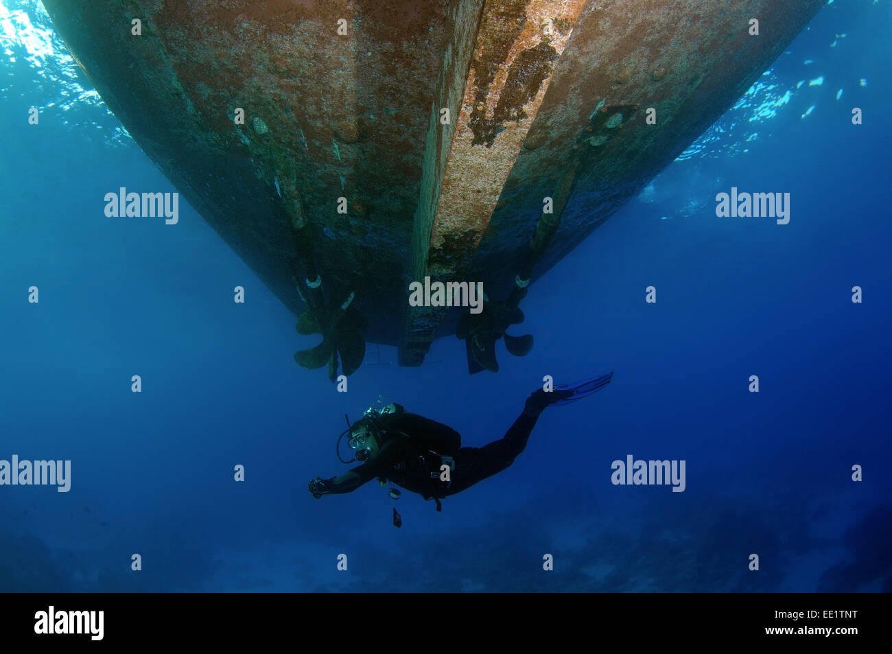 Un subacqueo nuota sotto la barca, Mar Rosso, Egitto, Africa Foto Stock