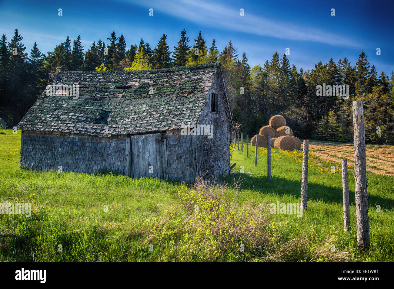 Un vecchio edificio rurale nelle zone rurali di Prince Edward Island, Canada. Foto Stock