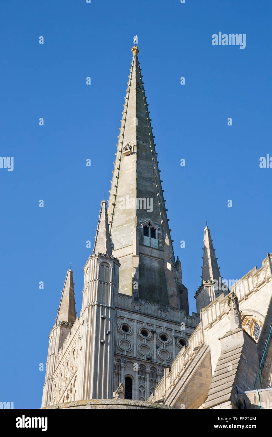 Vista della cattedrale di Norwich, Norfolk, East Anglia, Inghilterra Foto Stock