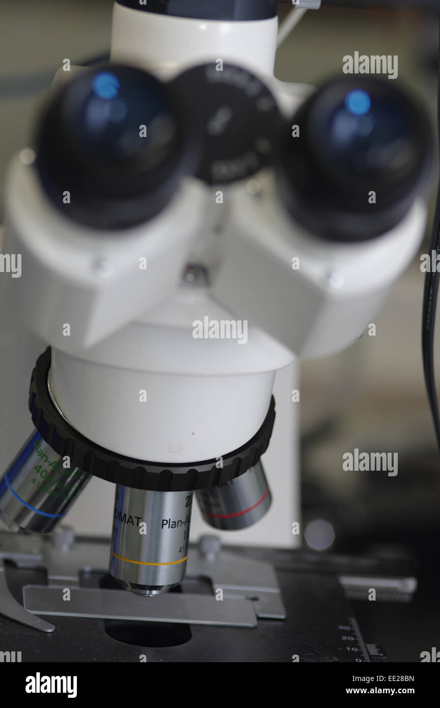 Chiusura del microscopio da laboratorio Foto Stock