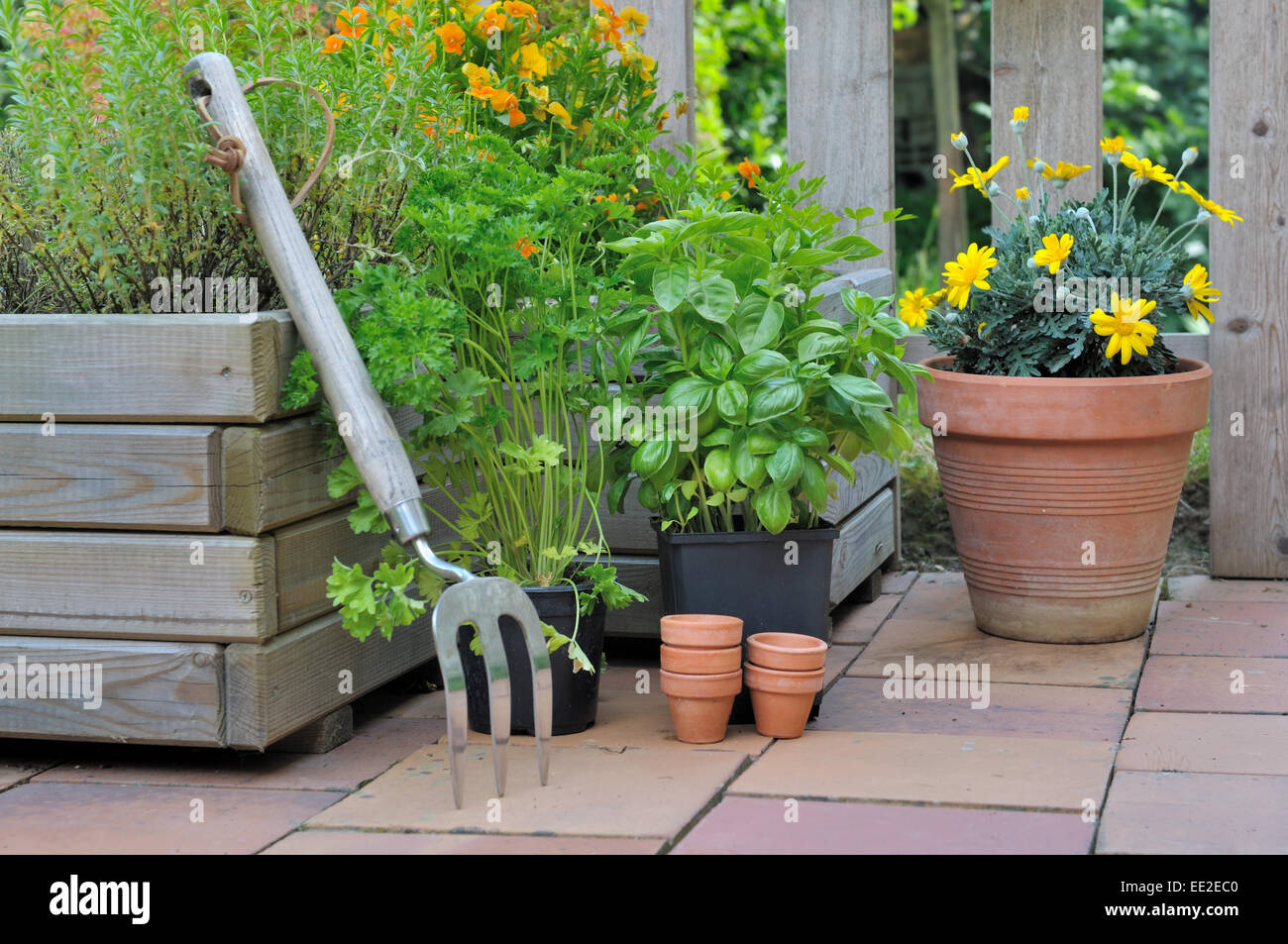 Aromatiche diverse piante in vaso sul terrazzo Foto Stock