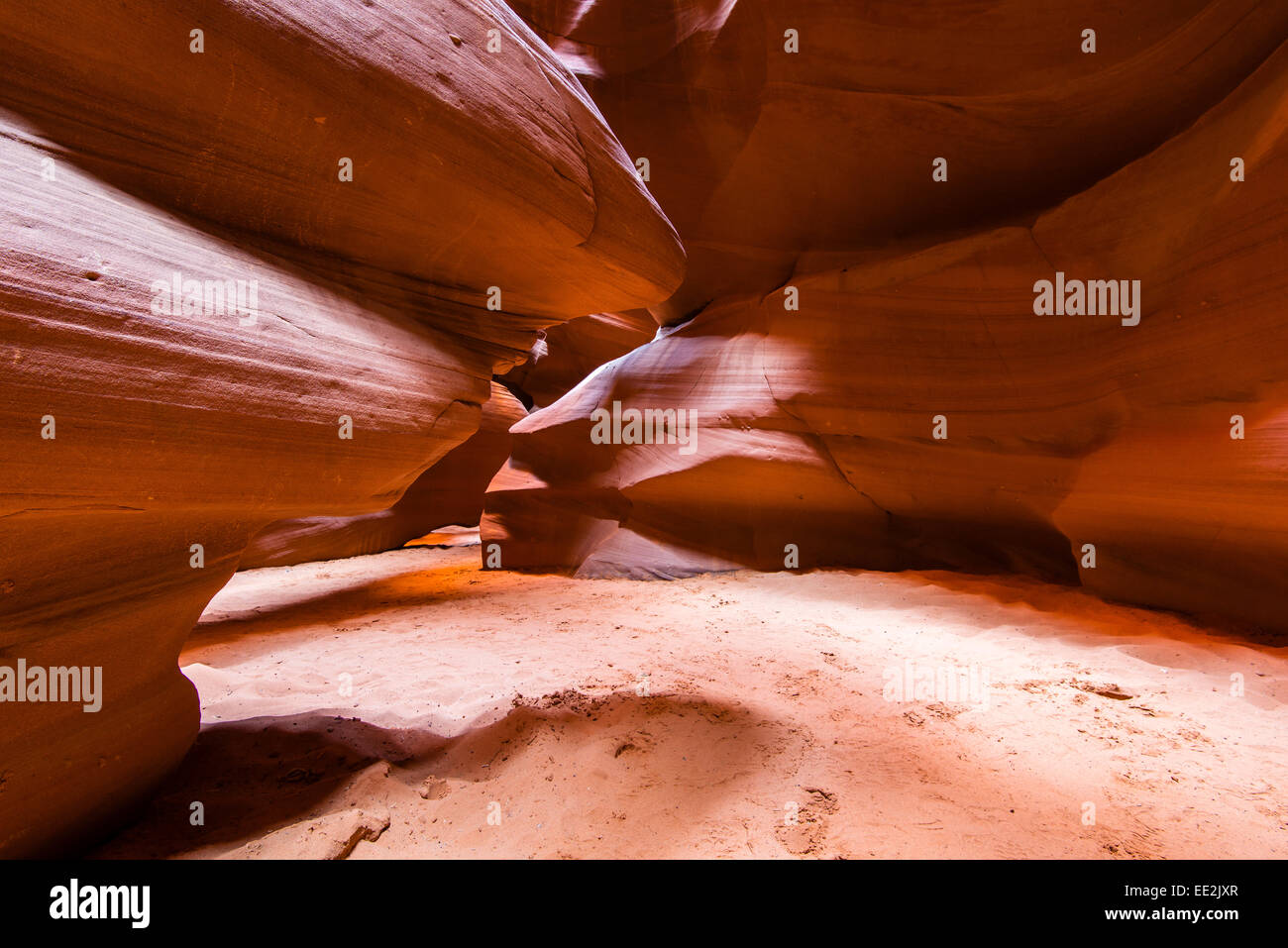 Tomaia Antelope Canyon parco tribale Navajo, Pagina, Arizona, Stati Uniti d'America Foto Stock