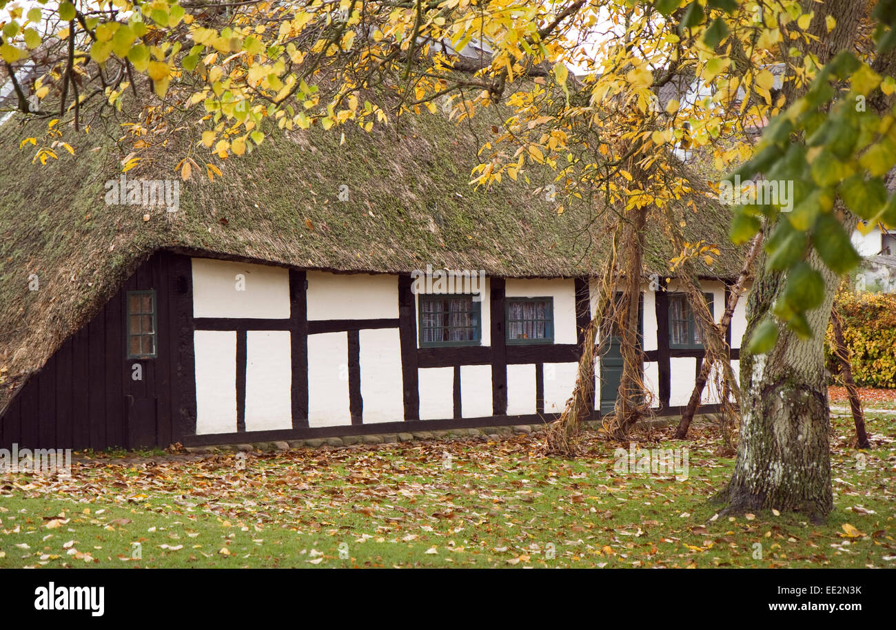 Half-Timbered casa con tetto di paglia in autunno Foto Stock