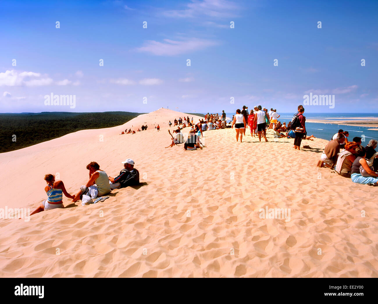 Dune de Pyla, Aquitaine, Francia. Più grande duna di sabbia in Europa. 105m, 500m di larghezza,: 2,7Km Foto Stock