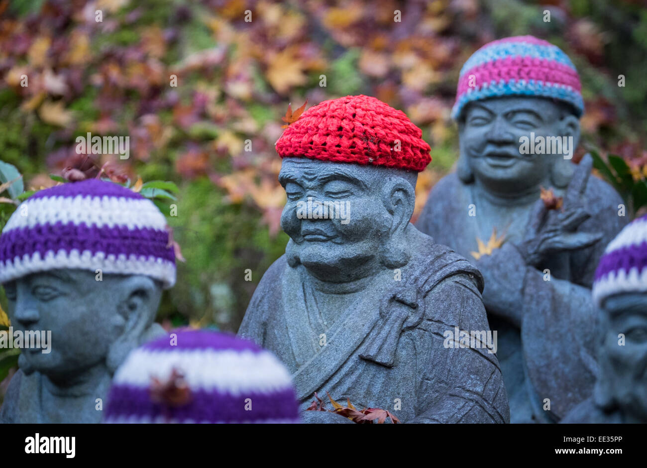 Buddha in berretto lavorato a maglia Foto Stock