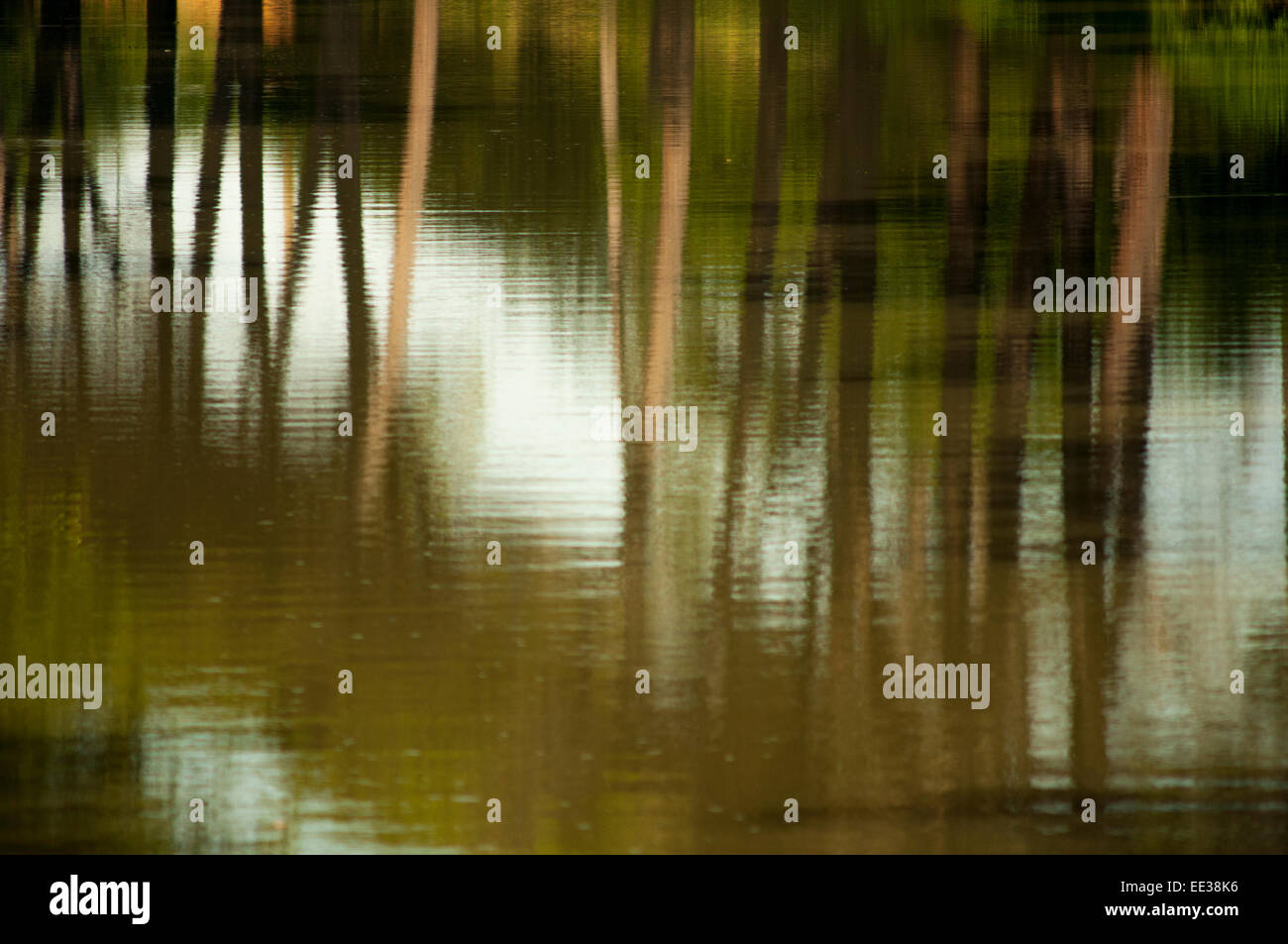 Riflessioni di alberi nelle calme acque del Canal du Midi in Francia del sud Foto Stock