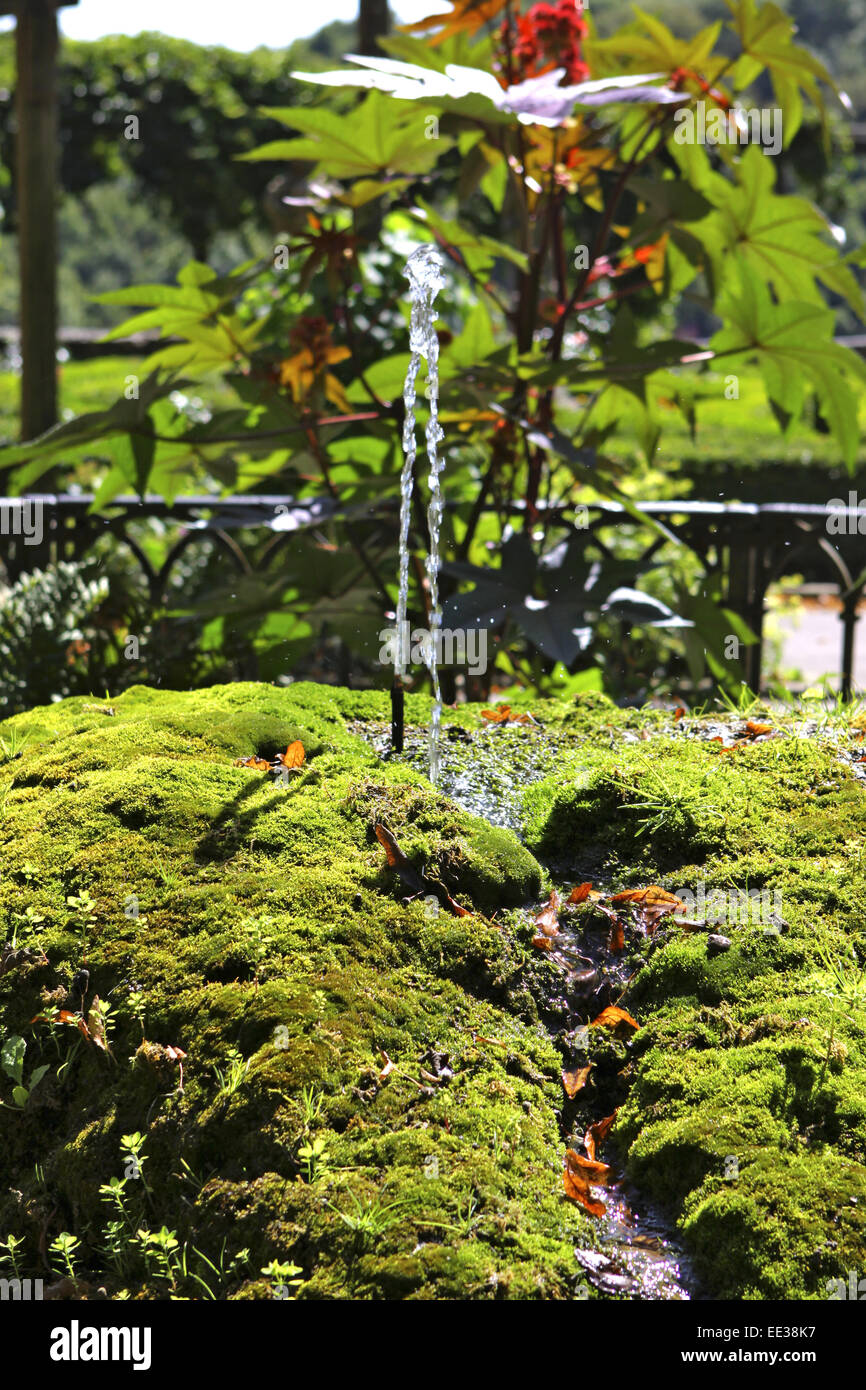 Deutschland, Bayern, Rothenburg ob der Tauber, Burggarten, Brunnen, bemoost, Wasser Foto Stock