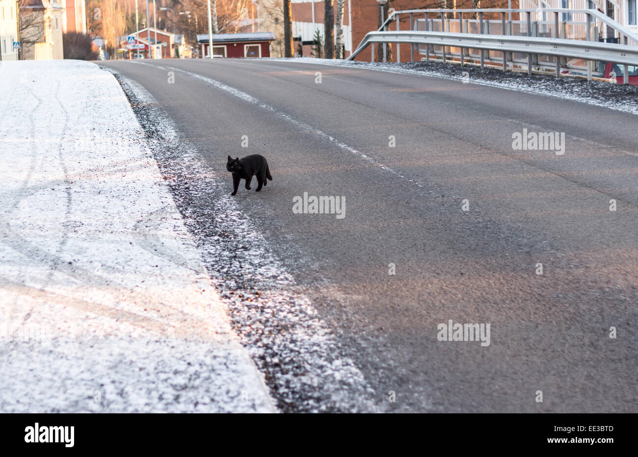 Gatto Nero Attraversamento Strada In Inverno Foto Immagine Stock