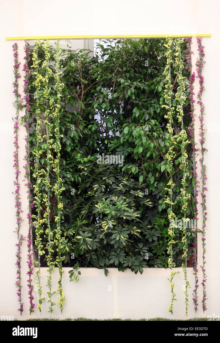 Fiori esposti su Floraart, 48 Esposizione Florovivaistica Internazionale a Zagabria in Croazia, il 29 maggio 2013. Foto Stock