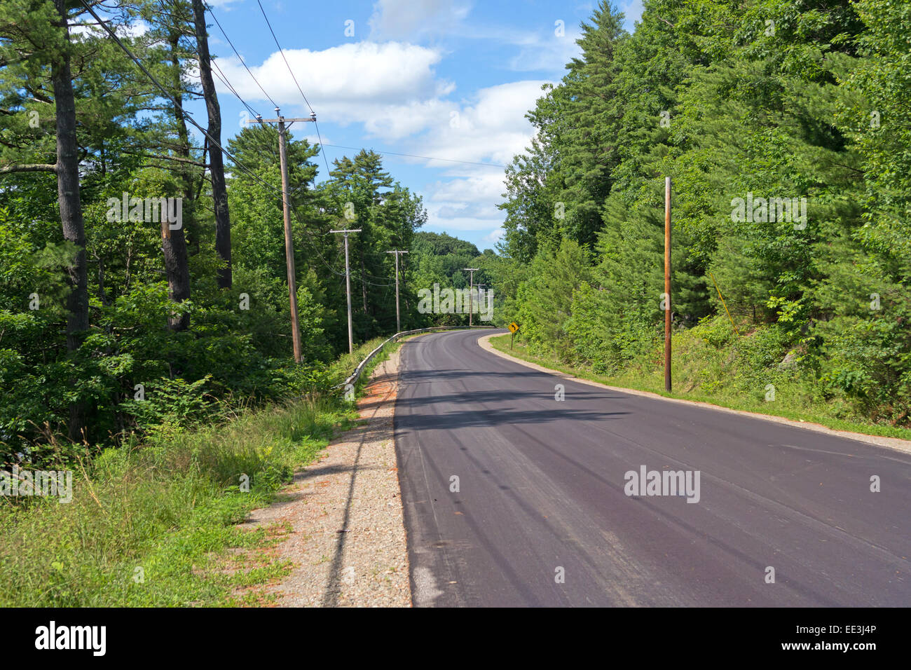Un rurale paese Maine Road nel periodo estivo con alberi e cespugli e un nuvoloso cielo blu nella distanza. Foto Stock