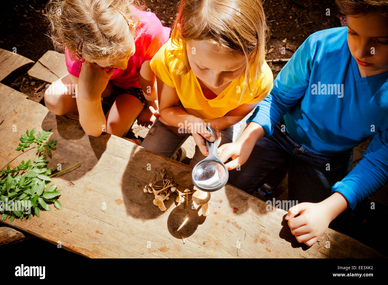 I bambini che imparano in una foresta camp, Monaco di Baviera, Germania Foto Stock