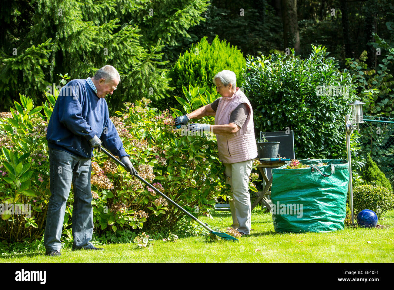 Seniors, donna anziana e suo marito nel suo 70s, lavora in giardino, Foto Stock