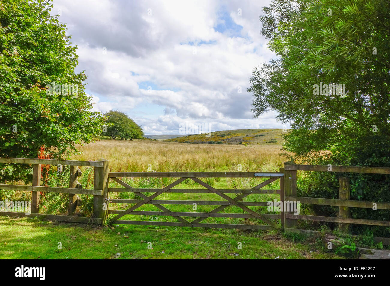 Due ponti Parco Nazionale di Dartmoor Devon England Regno Unito estati soleggiate pomeriggio Foto Stock