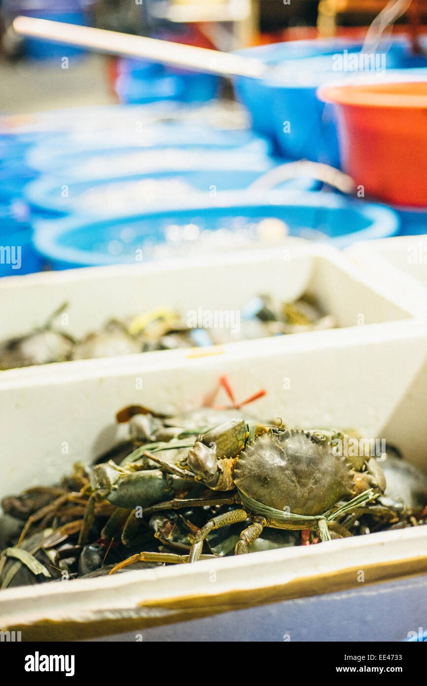 Viva i granchi per il ristorante di pesce di Hong Kong. Foto Stock