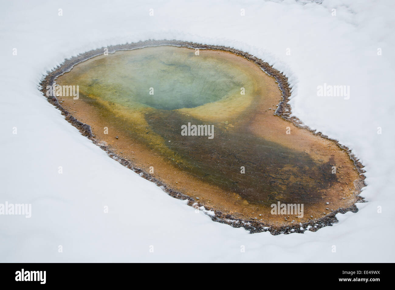 Primavera calda nel Parco Nazionale di Yellowstone Foto Stock