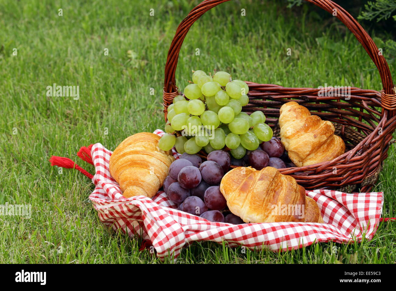 Pic nic sul prato verde con uva, mele e croissant Foto Stock