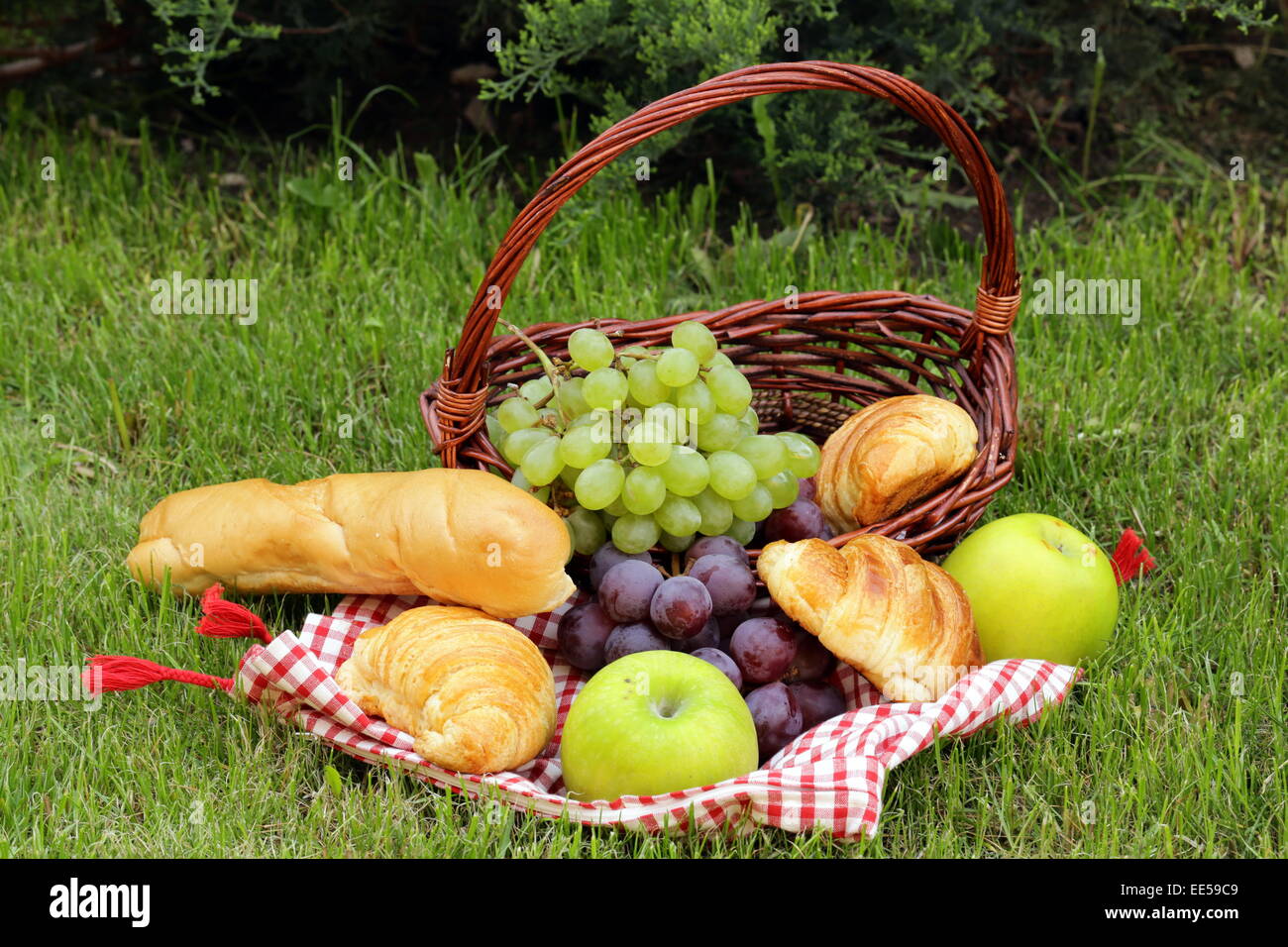 Pic nic sul prato verde con uva, mele e croissant Foto Stock