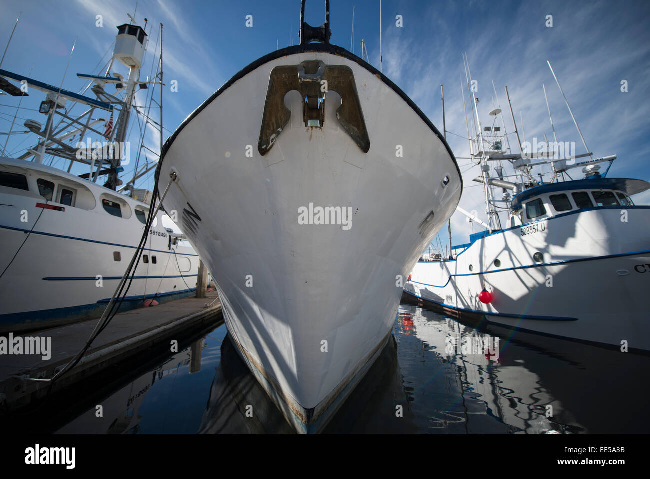 Commerciale barche da pesca, G Street Pier, Baia di San Diego, San Diego, California USA Foto Stock