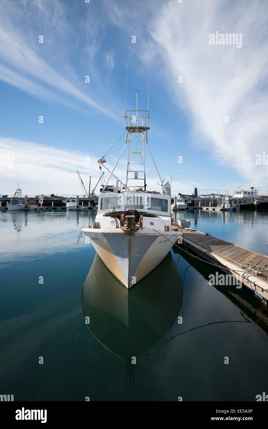 La pesca commerciale barca Erin B., G Street Pier, Baia di San Diego, San Diego, California USA Foto Stock