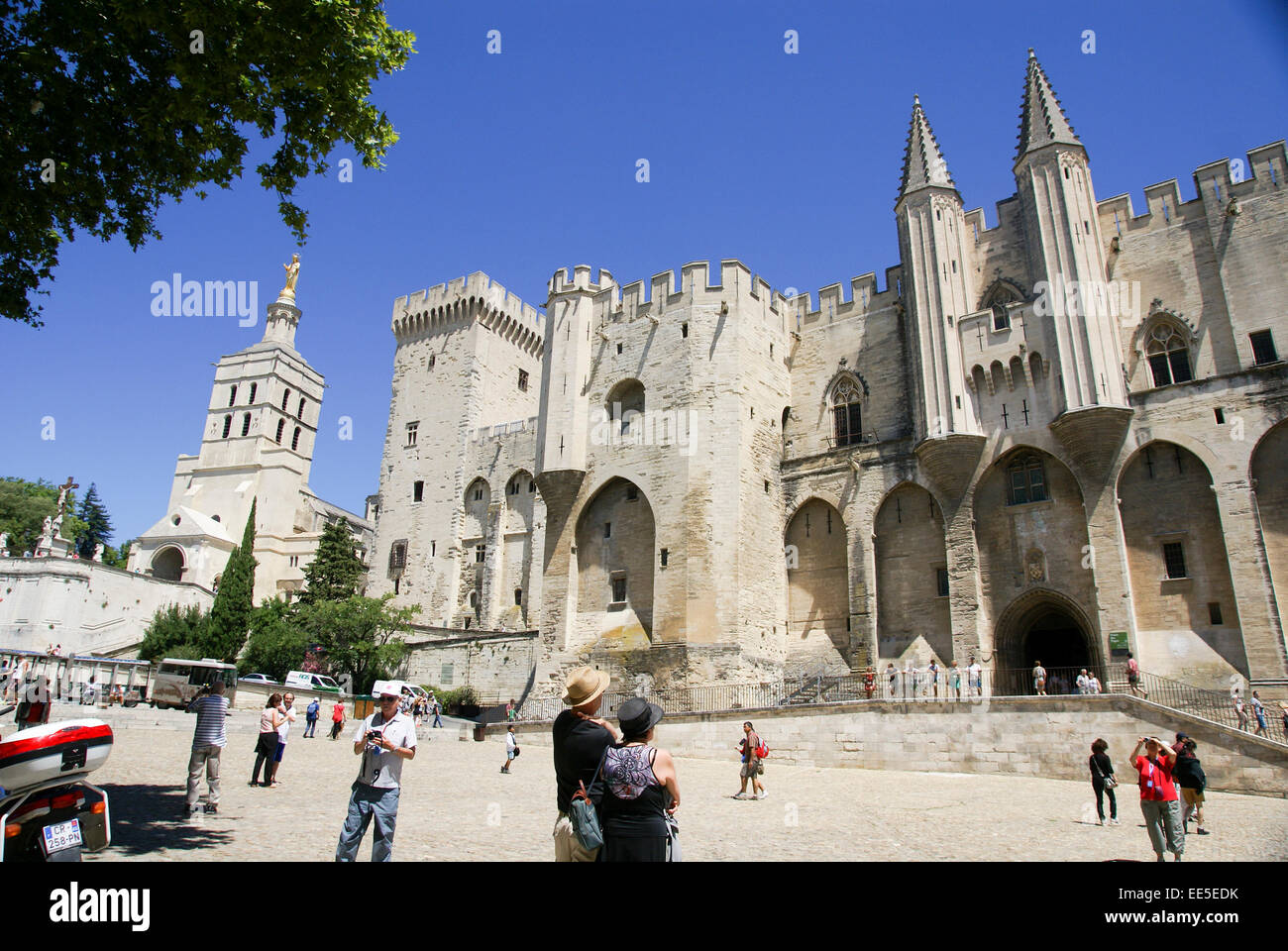 Palais des Papes, palazzo papale ad Avignone, Francia Foto Stock Palais des Papes, palazzo papale ad Avignone, Francia Foto Stock