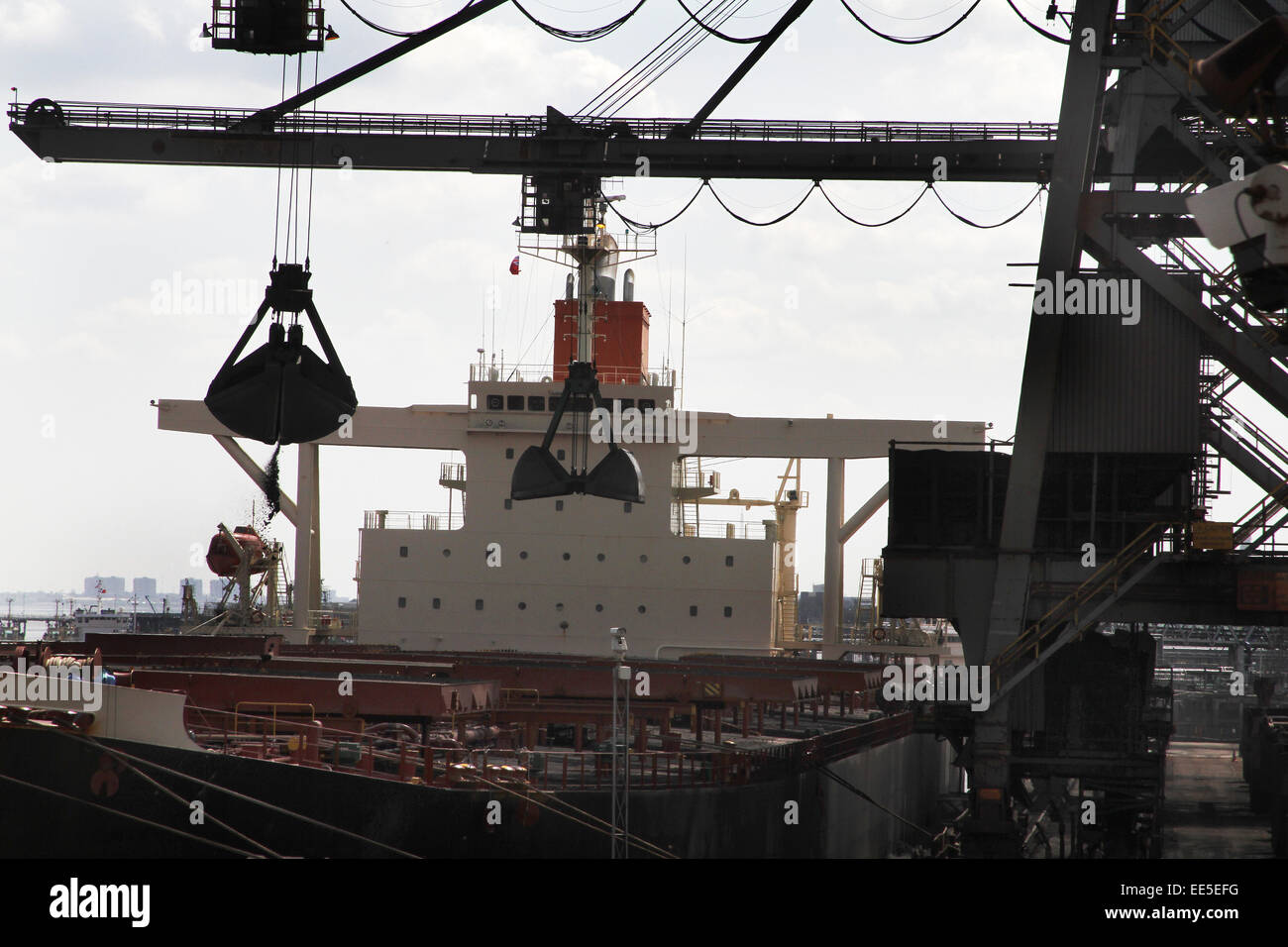Lo scarico delle navi al terminale di bulk del Regno Unito con il carico del carbone e del minerale di ferro. Foto Stock