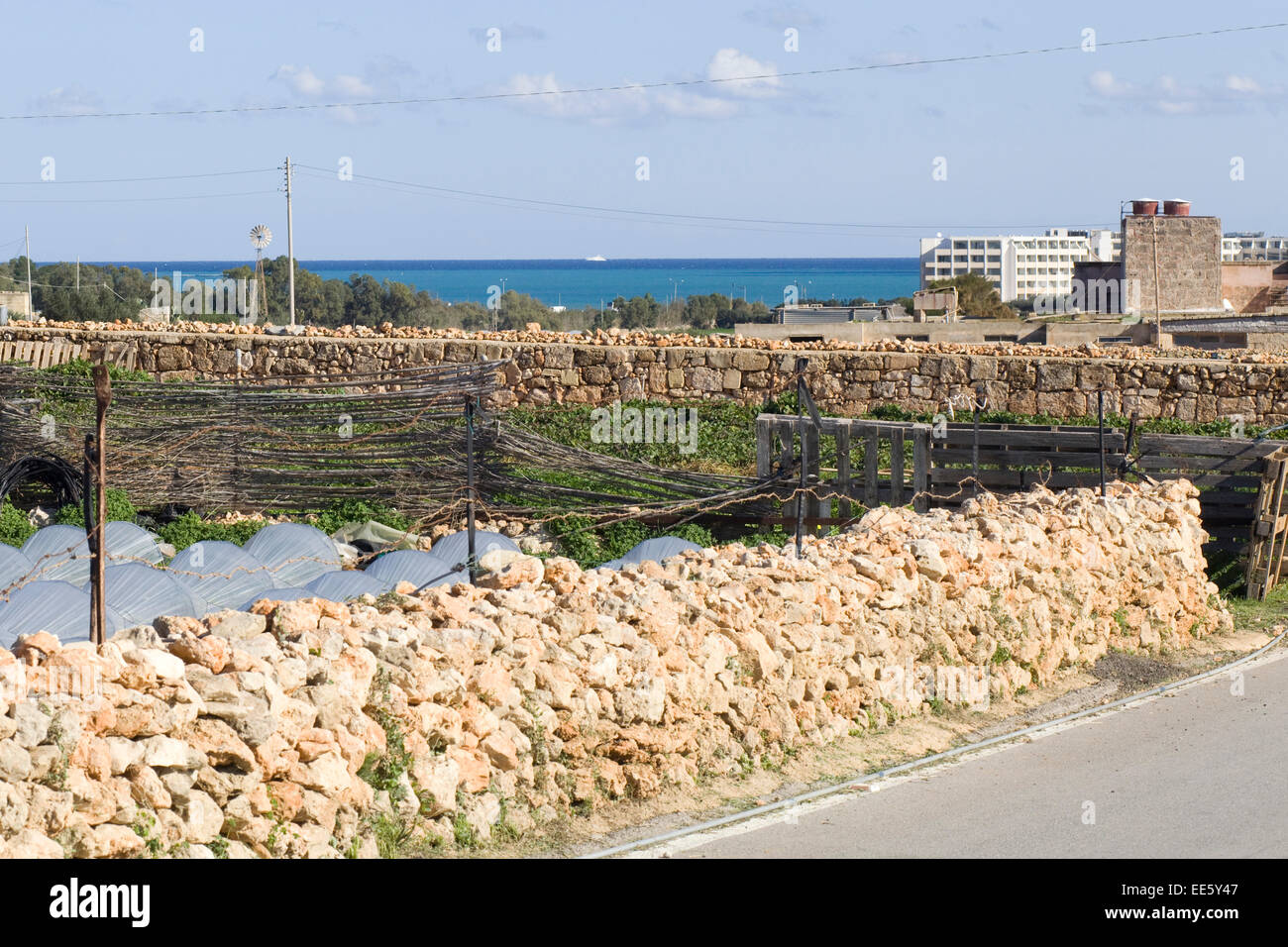 Polytunnel serre di copertura del raccolto di fragole in Malta Foto Stock