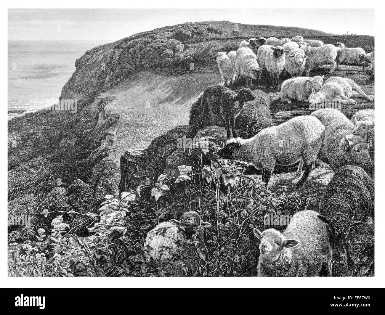 Sul lato della collina William Holman Hunt 1852 gregge lana di pecora costa paesaggio outdoor all'aperto panorama viaggi di scena Foto Stock
