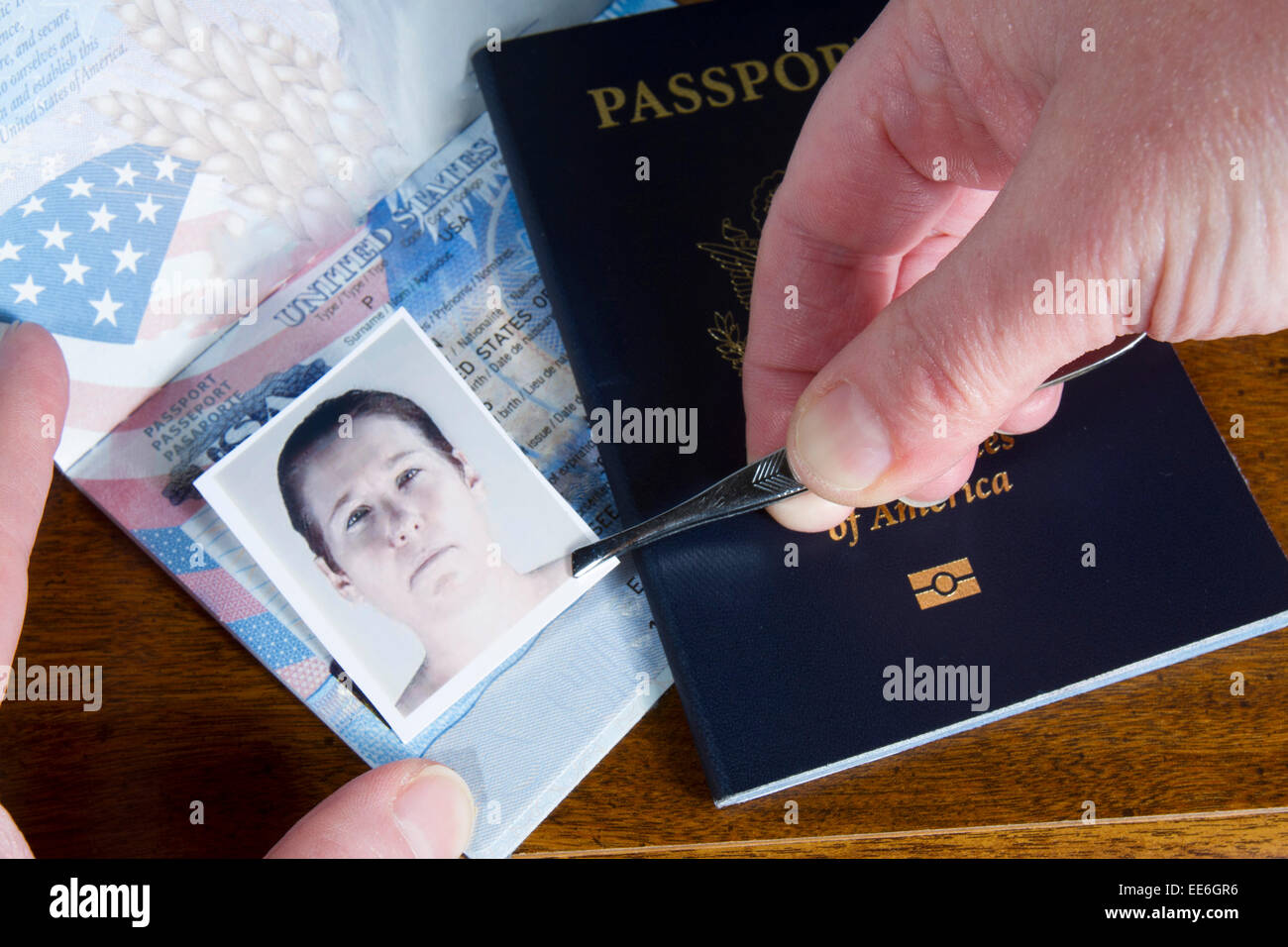 Mano con le pinzette azienda id foto oltre il passaporto come se la contraffazione dei documenti di viaggio Foto Stock