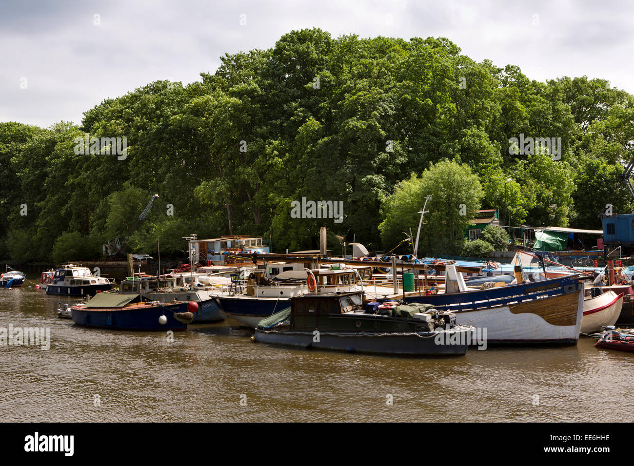 UK, Londra, Twickenham, barche ormeggiate sul Fiume Tamigi a Eel Pie Island Foto Stock