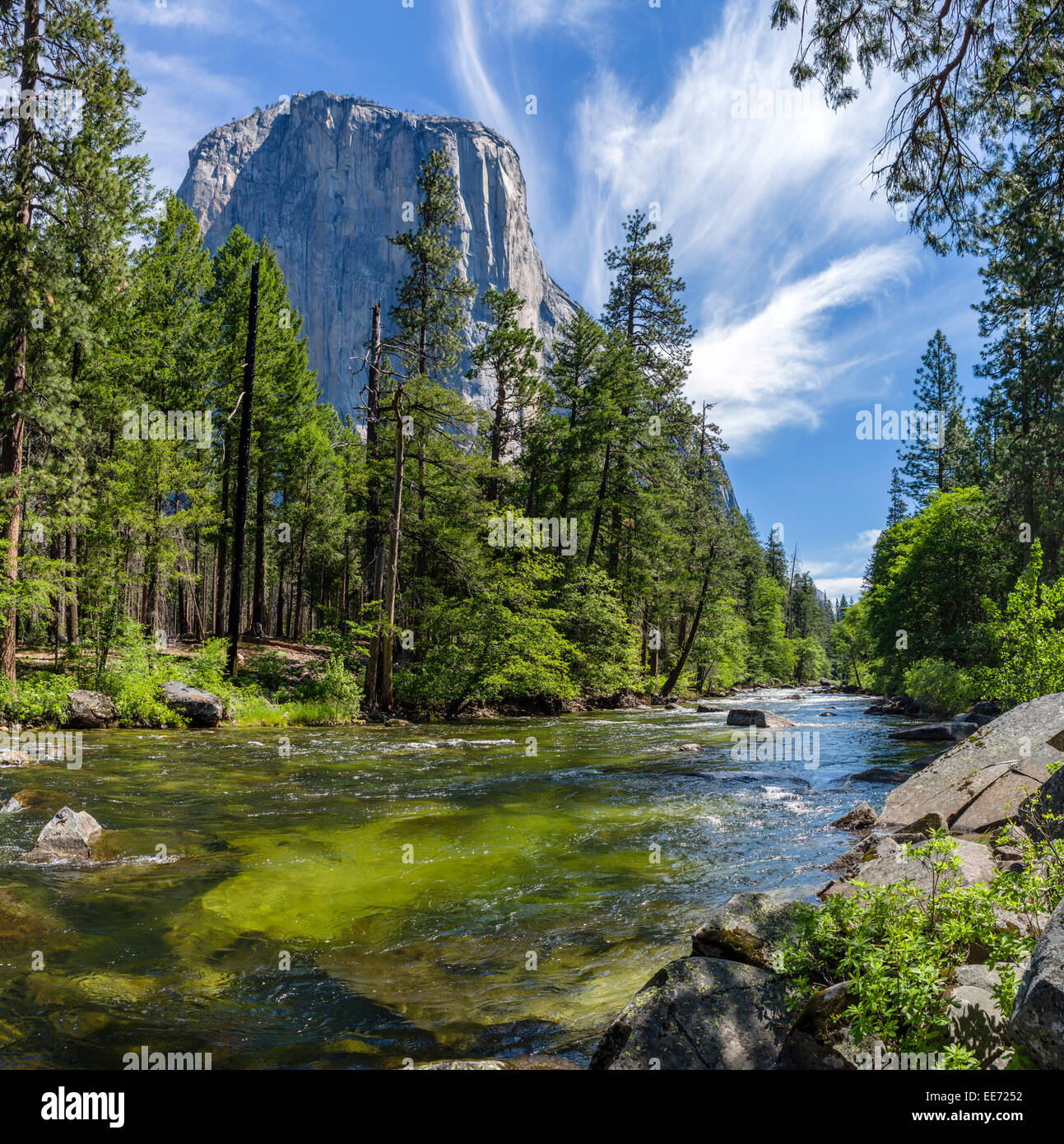 Parco Nazionale di Yosemite. Merced River e El Capitan di Southside Drive nella Yosemite Valley, del Parco Nazionale Yosemite, Sierra Nevada, in California, Stati Uniti d'America Foto Stock