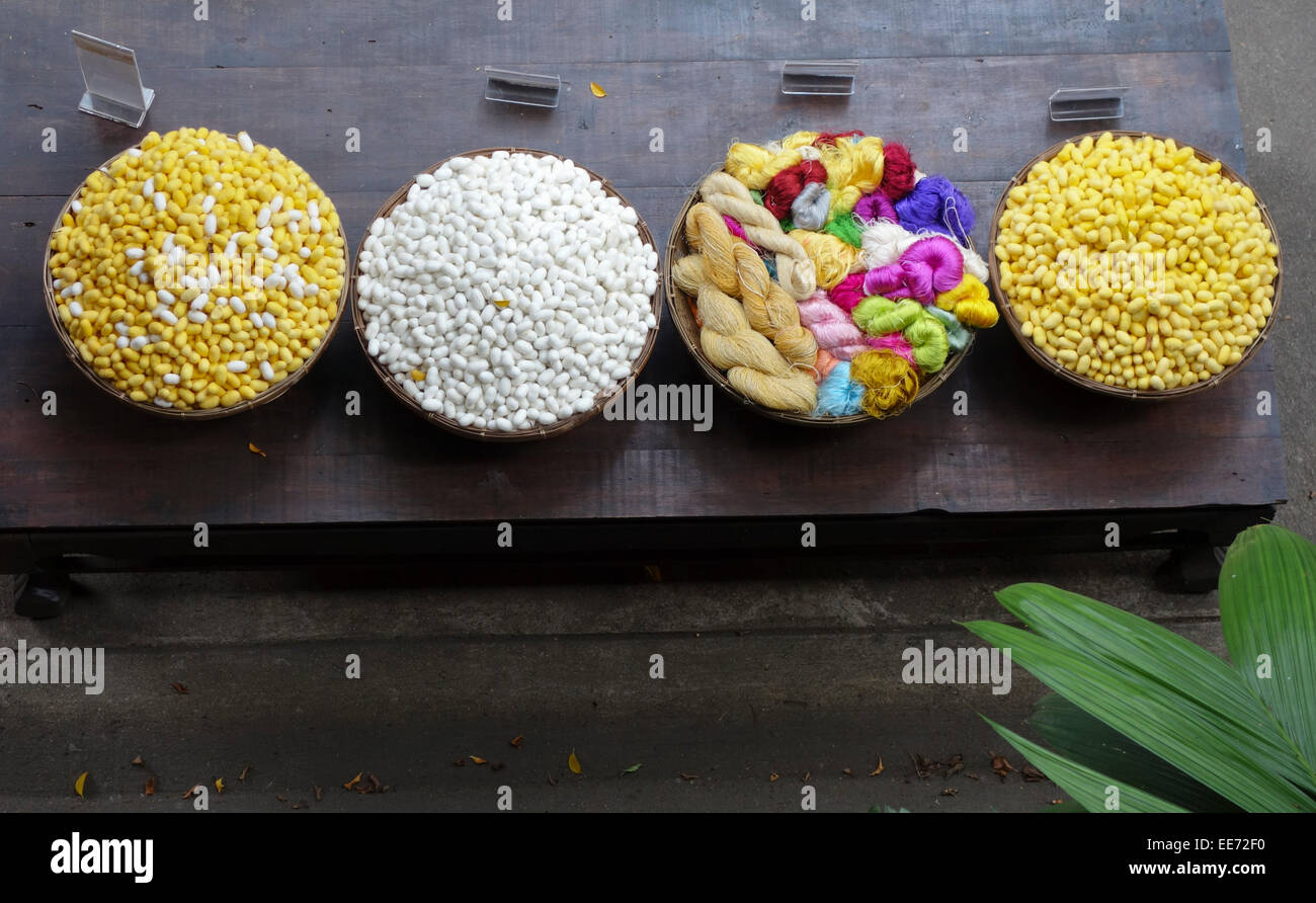 Bozzoli di seta giallo e bianco e seta Thailandese filettature sul tavolo a Jim Thompson house museum, Bangkok, Thailandia, Sud-est asiatico. Foto Stock