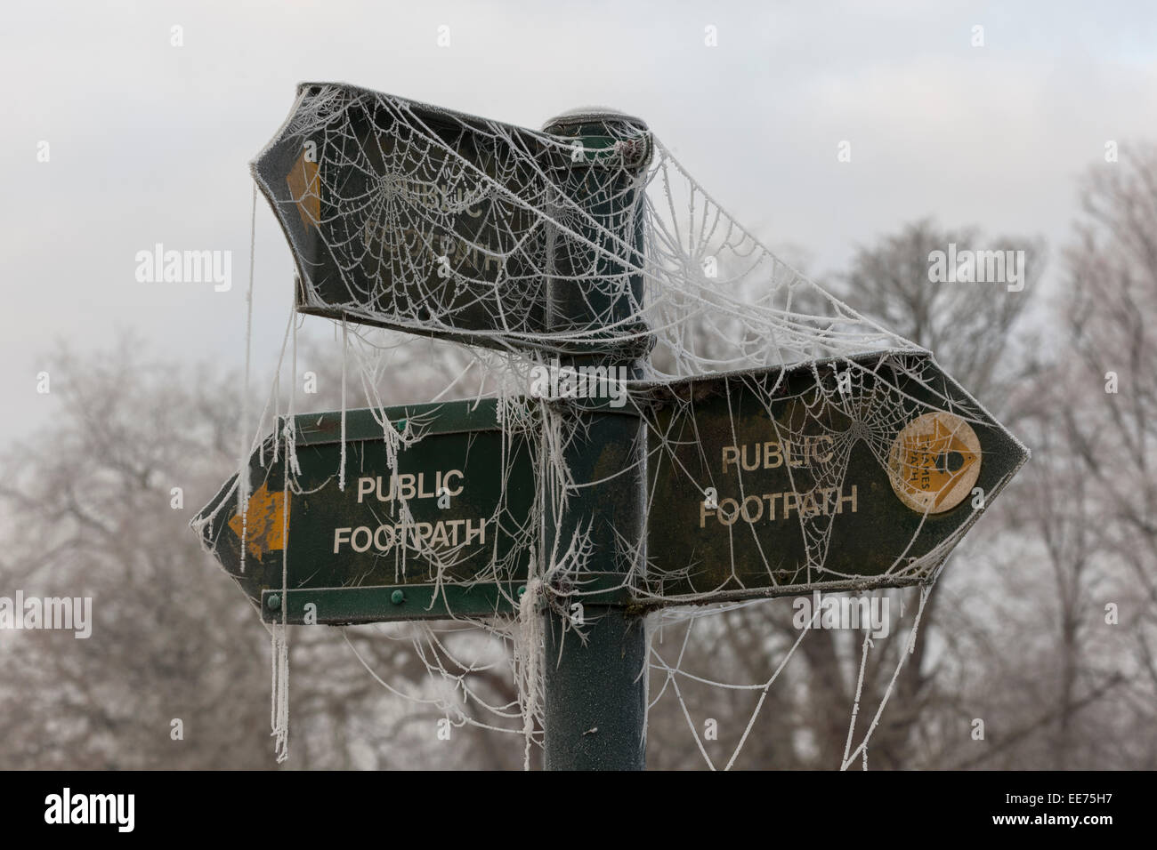 Segno di un sentiero coperto di gelo invernale Foto Stock