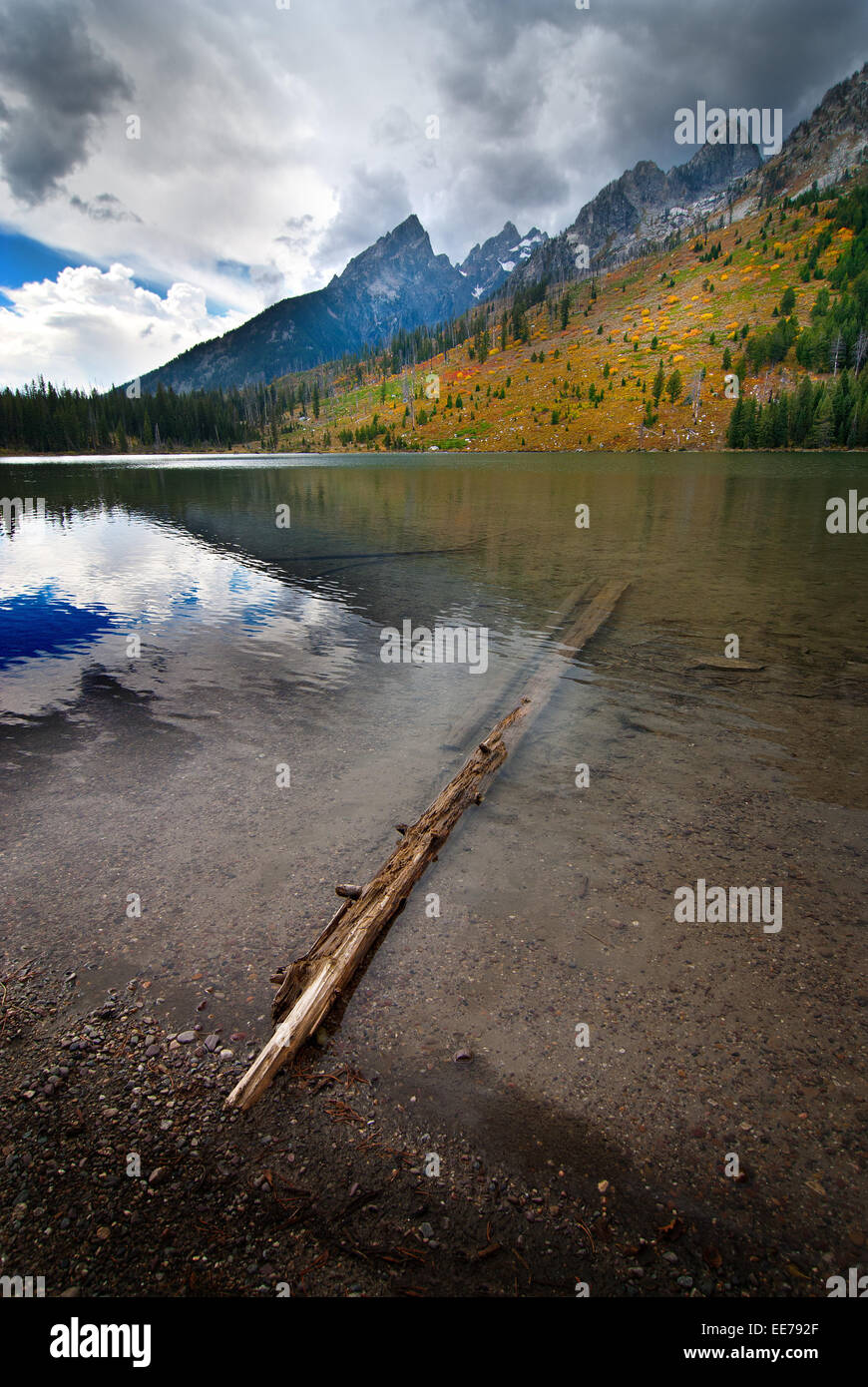 Dettaglio del Lago di stringa in Tetons con Grand Teton in background Foto Stock