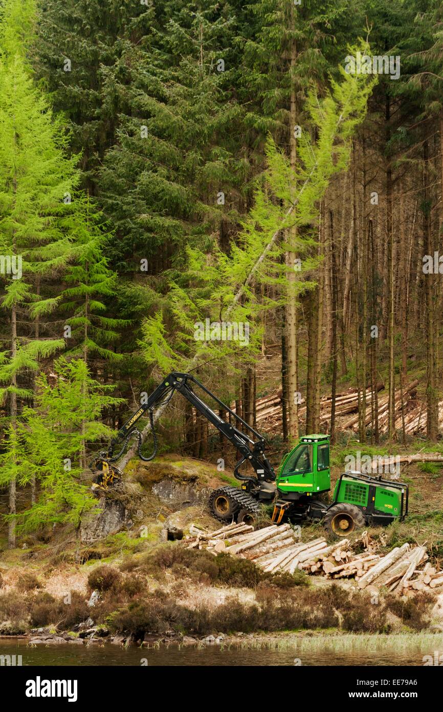 John Deere 1270 D Harvester abbattimento del legno in una foresta in Scozia occidentale. Un esempio di macchine per la raccolta di legno di conifera. Foto Stock